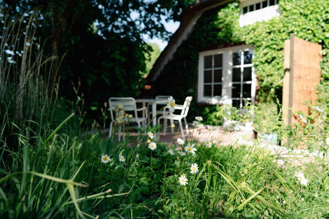 Ferienwohnung Reethuus 7, Fewo Vermittlung Nordsee ดังกัสท์ ภายนอก รูปภาพ